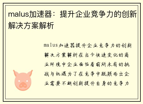 malus加速器：提升企业竞争力的创新解决方案解析